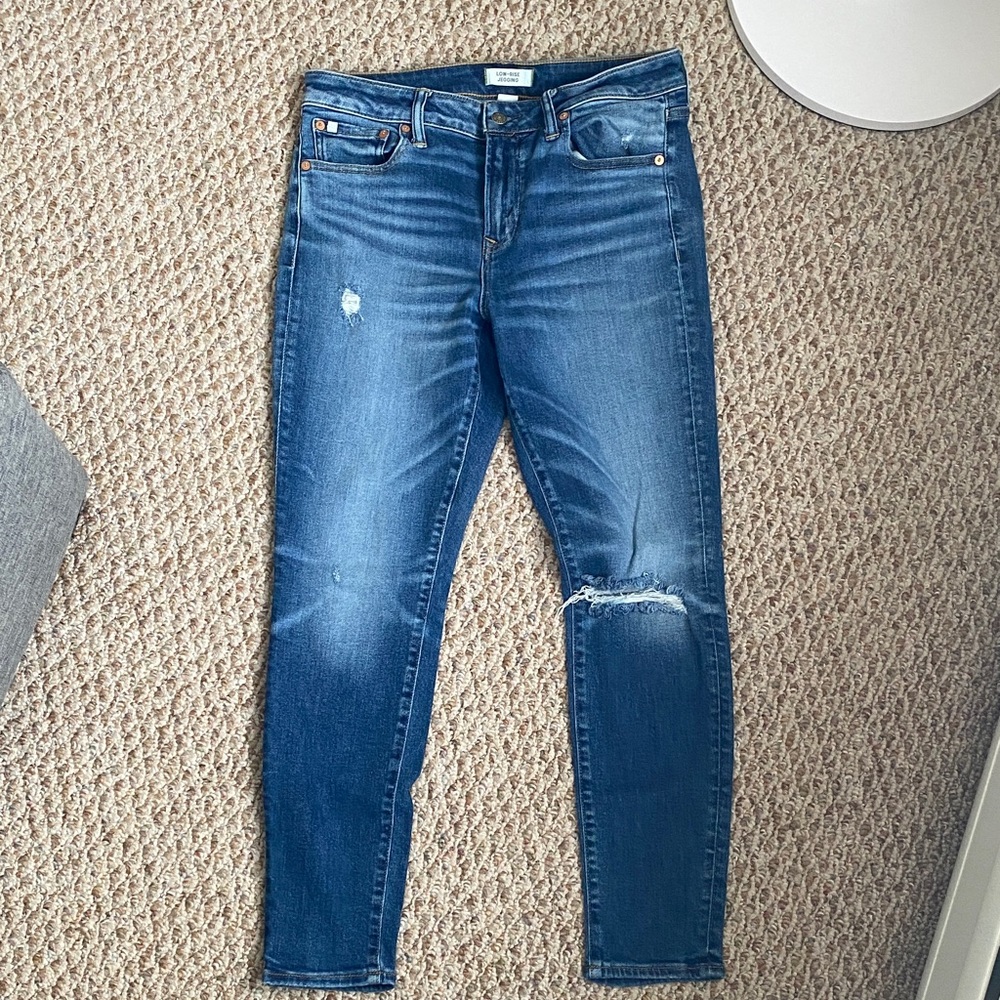 American Eagle Outfitters Premium Jean Jeggings 10